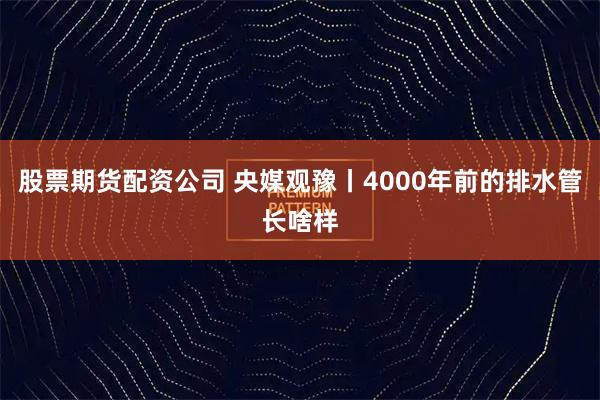 股票期货配资公司 央媒观豫丨4000年前的排水管长啥样